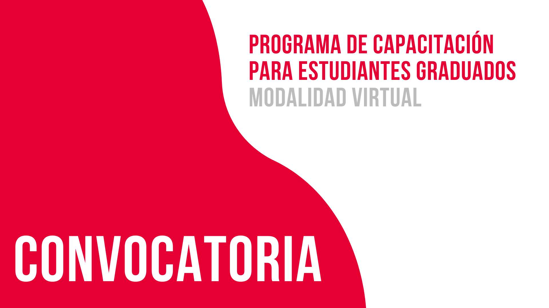 Convocatoria: Programa de Capacitación para Estudiantes Graduados Modalidad Virtual